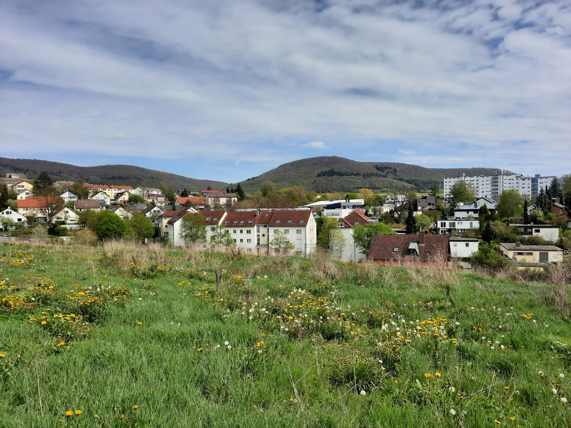 pro_Projekte_14_GENiAAL_Bauplatz_SO